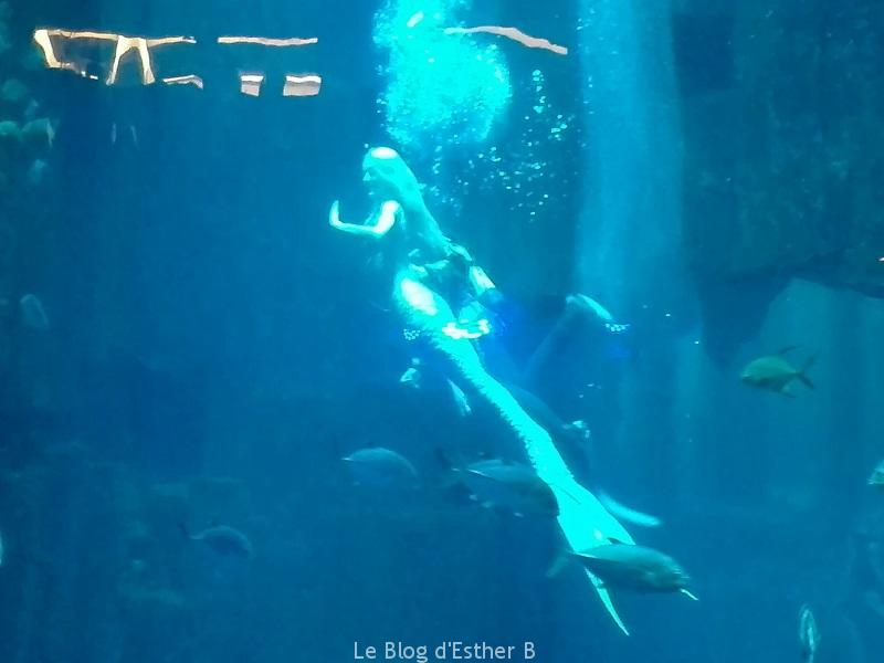 aquarium_paris_sirene